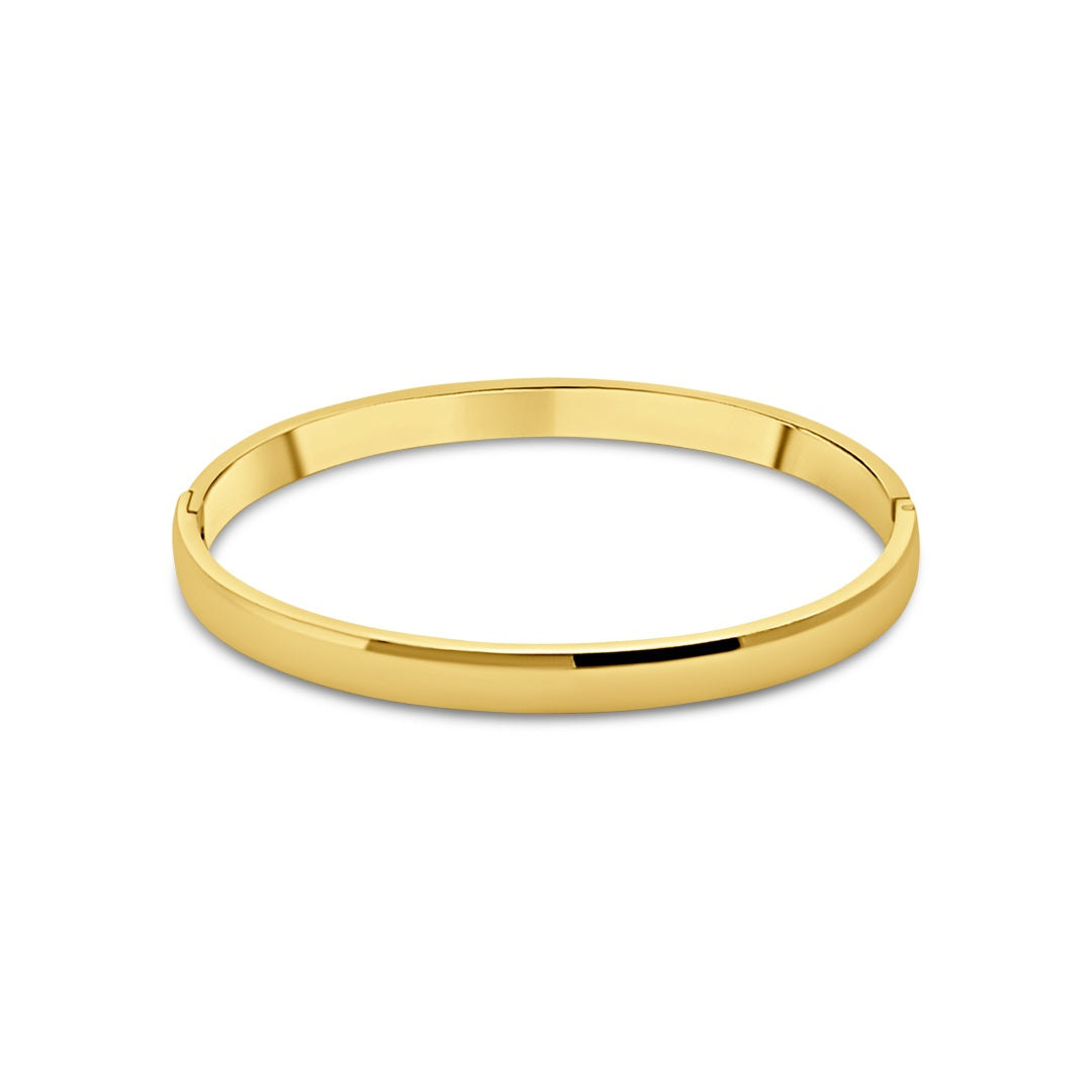 CO88 wide round bangle ipg